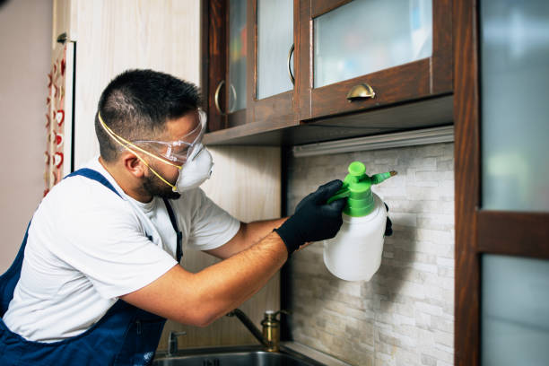 Best Bed Bug Extermination  in Combined Locks, WI
