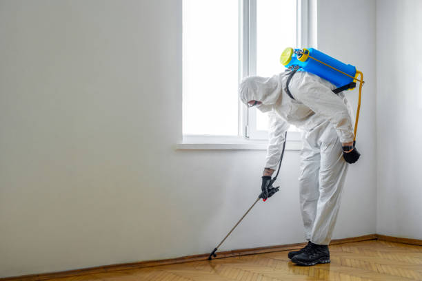 Best Affordable Pest Control Services  in Combined Locks, WI