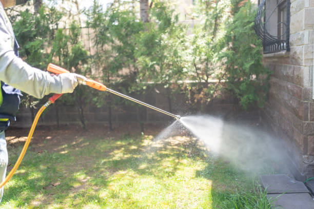 Best Local Pest Control Services  in Combined Locks, WI