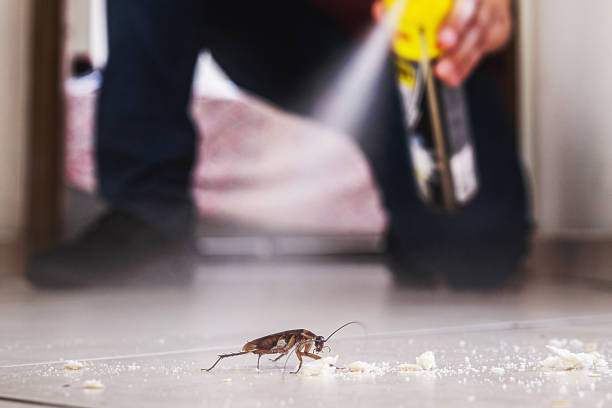 Best Affordable Pest Control Services  in Combined Locks, WI