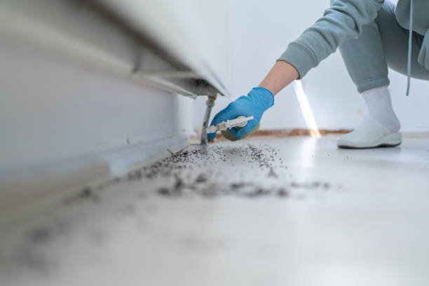 Best Insect Control  in Combined Locks, WI